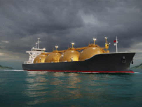 2021 LPG Market Review